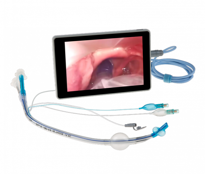 Video Kanalı Çifte Lumen Endobronşyal Tüp Uzun Zamanlı Ameliyat Gözlemleri için 0