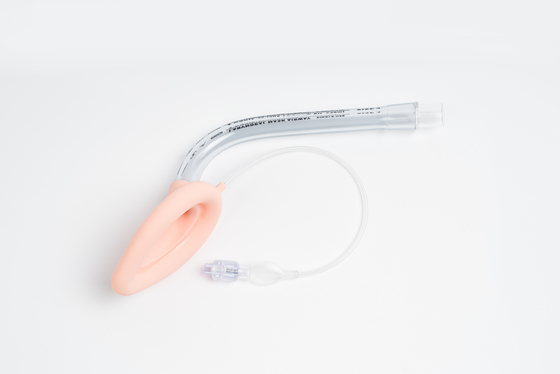 İyi bir fiyat. PVC ve Silikon 3.0 Boyutlu Laryngeal Maske Yüksek Kalite Intubatörlü Hava Yolları çevrimiçi