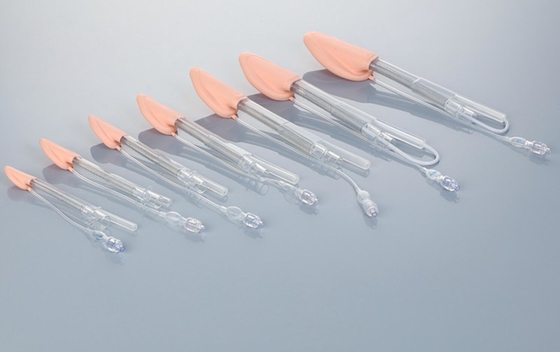 İyi bir fiyat. Çift Lumen Intubating Laryngeal Mask Hava Yolları Sınıf II Hastane Ürünü çevrimiçi